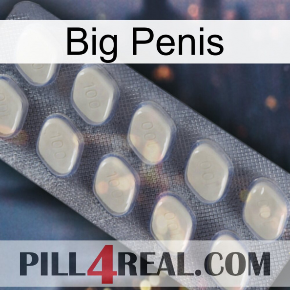 Big Penis 08.jpg